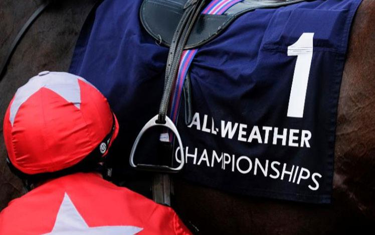 Close up on a horse saddle featuring All Weather Championship branding.
