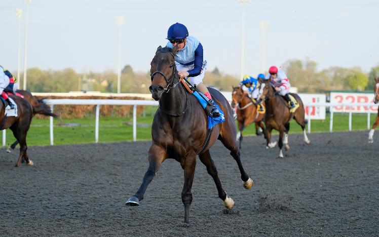 Bowerman at Kempton Park