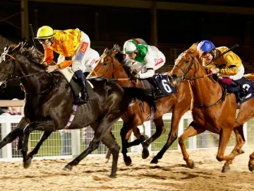 FirstPrinciple311025