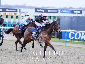 Lower Street wins the Coral Winter Oaks