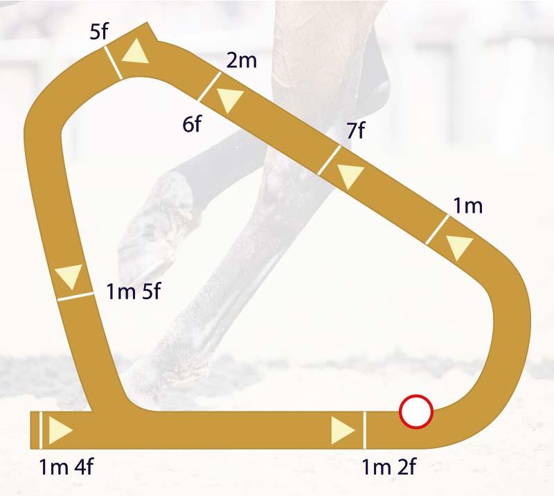 Graphic of the Lingfield Park track showing distance markers.