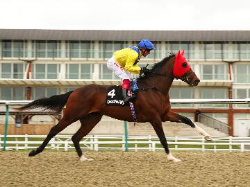 Dubai Warrior is declared for the Betway Churchill Stakes at Lingfield Park on Saturday 14 November