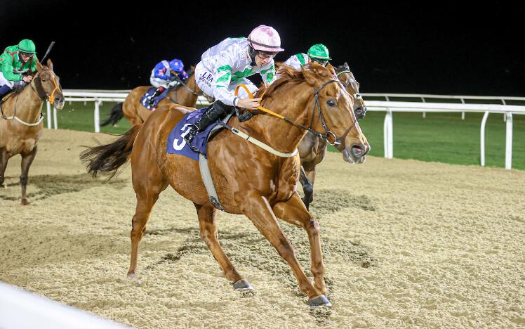 Venturous winning at Newcastle Racecourse under Tom Marquand.