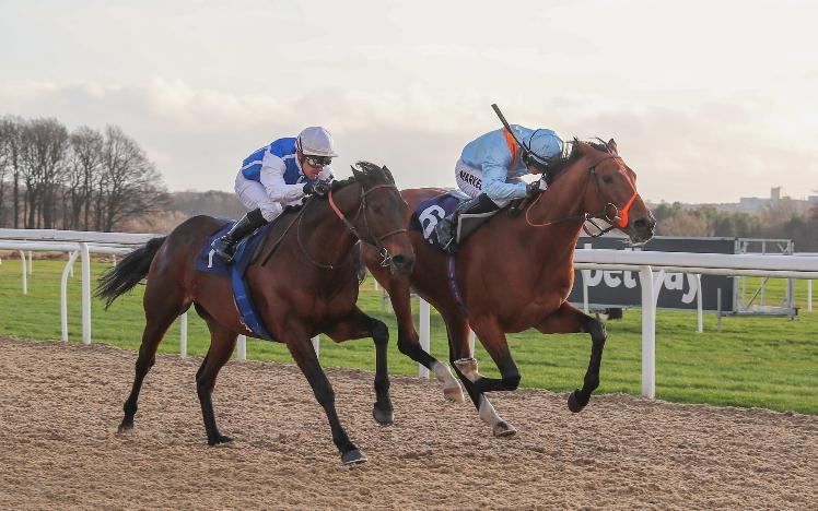 Raymond Tusk Wins at Newcastle Racecourse