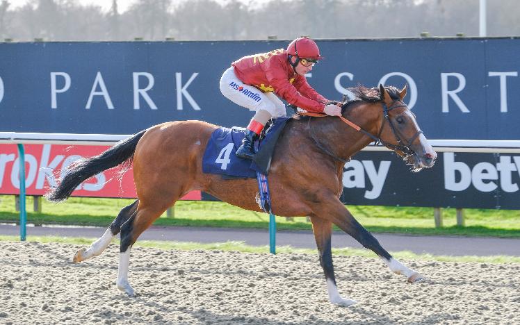 Malotru far too good in Listed Ladbrokes Spring Cup