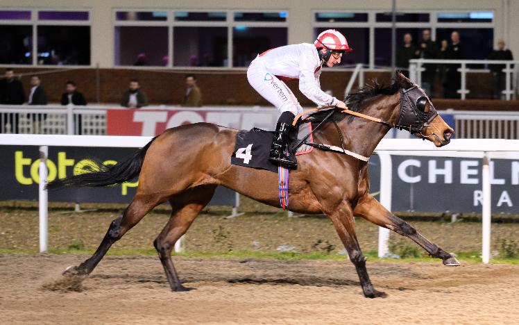 Solar Heights Wins at Chelmsford
