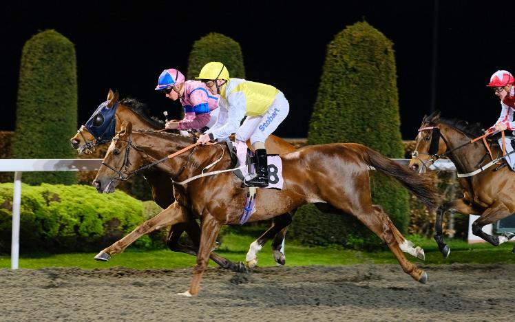 King's Advice runs in a Marathon Fast Track Qualifier at Kempton Park on Sunday 16 February
