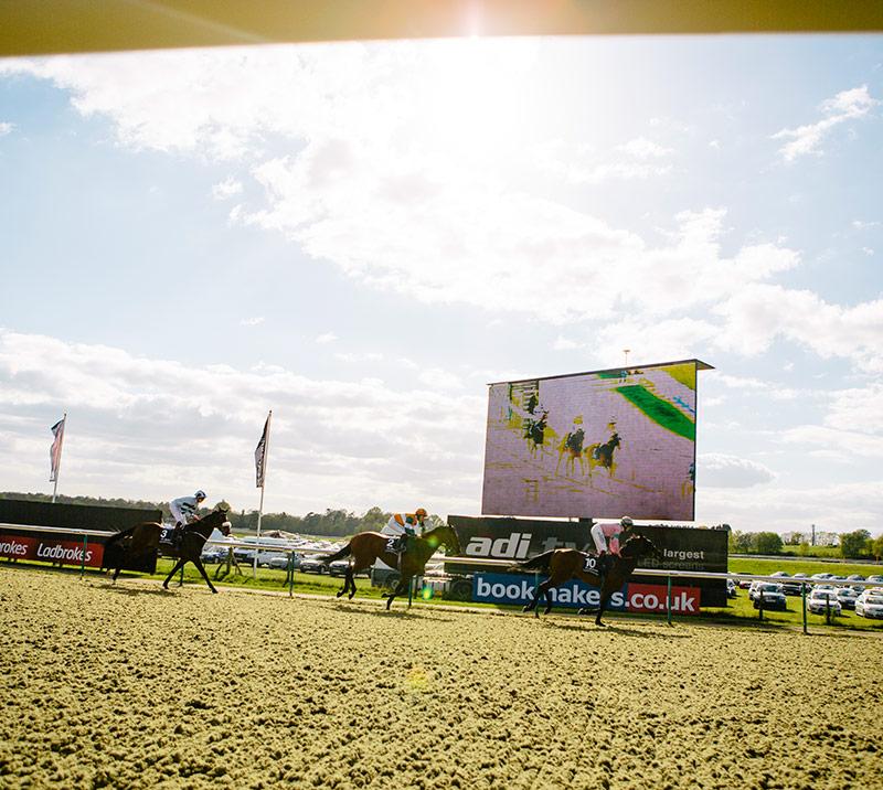 Jockeys racing with centre course tv screen in the background.