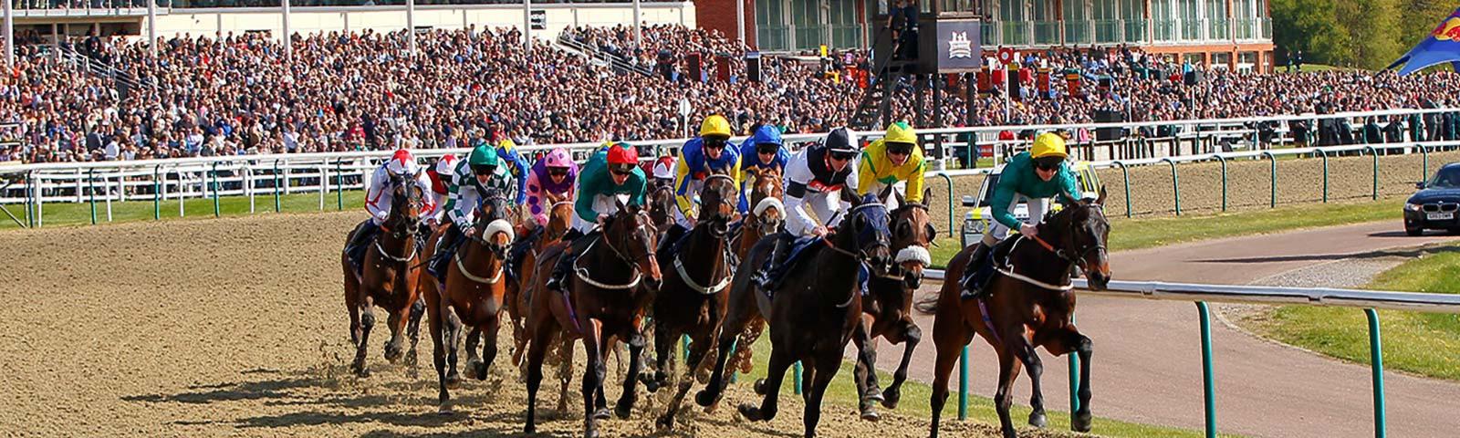 Group of jockeys racing around a bend at Lingfield Park.