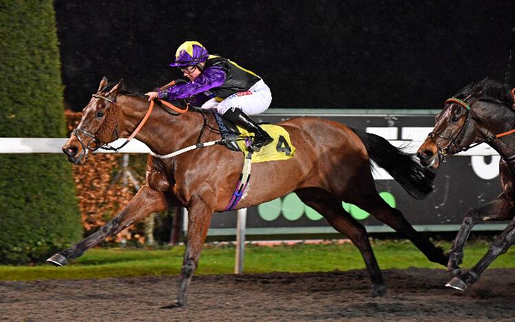 Rainbow Dreamer and Hollie Doyle win the All-Weather Championships Marathon Fast Track Qualifier at Kempton Park