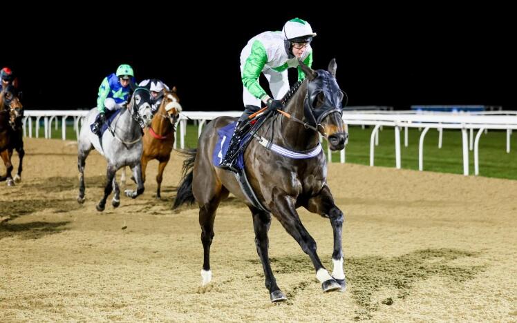 Caltonian at Newcastle