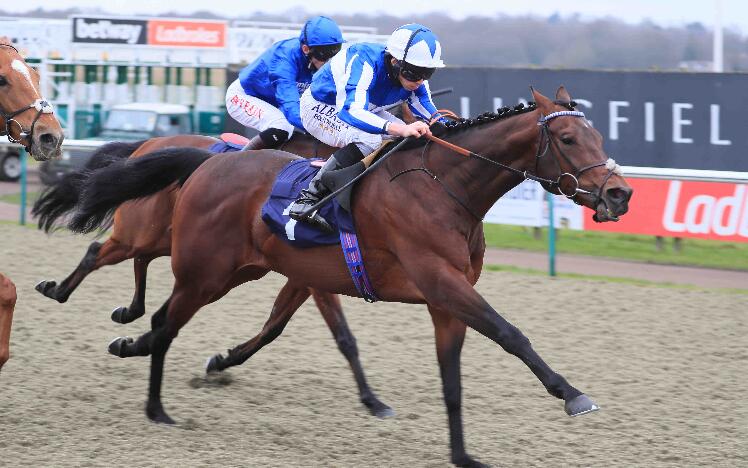 Bangkok and Ryan Moore win the 2021 Betway Winter Derby Trial Stakes at Lingfield Park