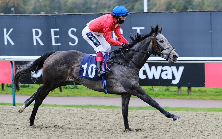 INDIE ANGEL, winner of the 2020 Ladbrokes Fleur de Lys Stakes at Lingfield Park
