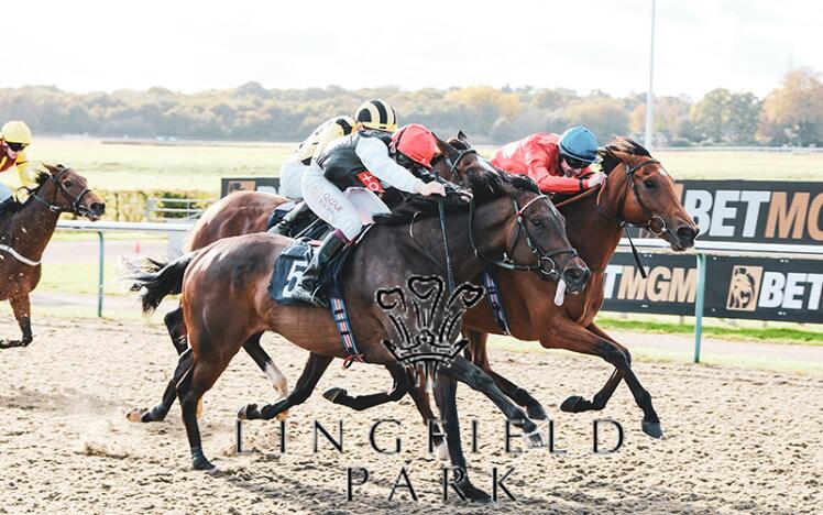 Queen Aminatu - Fleur de Lys Stakes 2022 & 2023 winner
