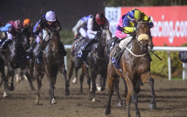 Surrounding wins at Dundalk Stadium