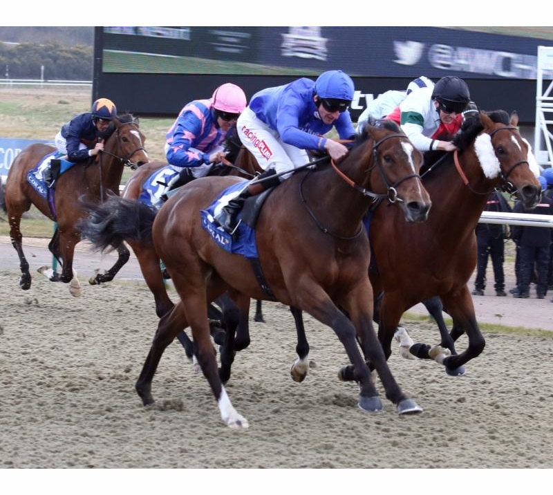 Coral sponsor Season 9 of the All-Weather Championships