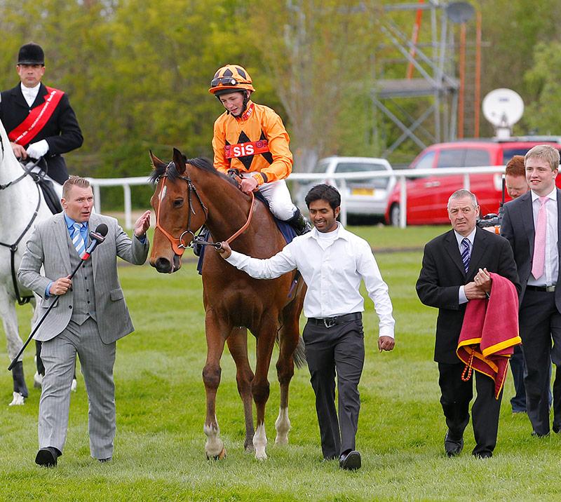 Horse after racing being led by the stable staff and, trainer and owner.
