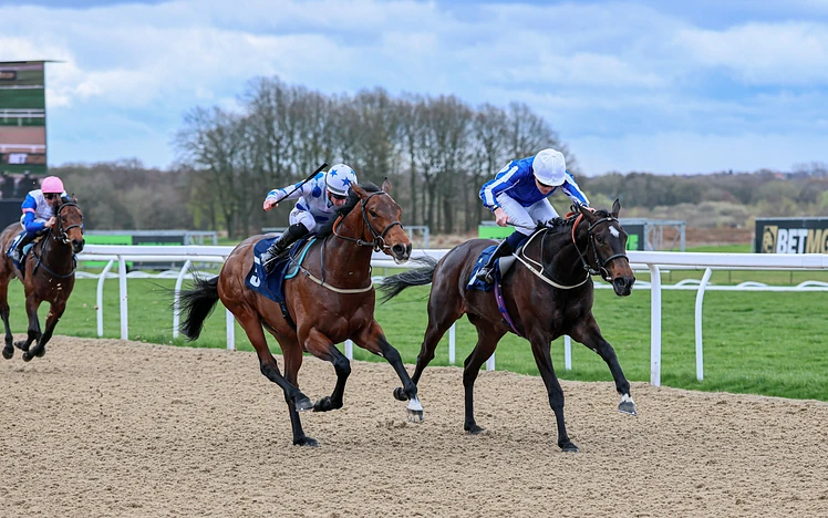 TimeForShowcasing030426