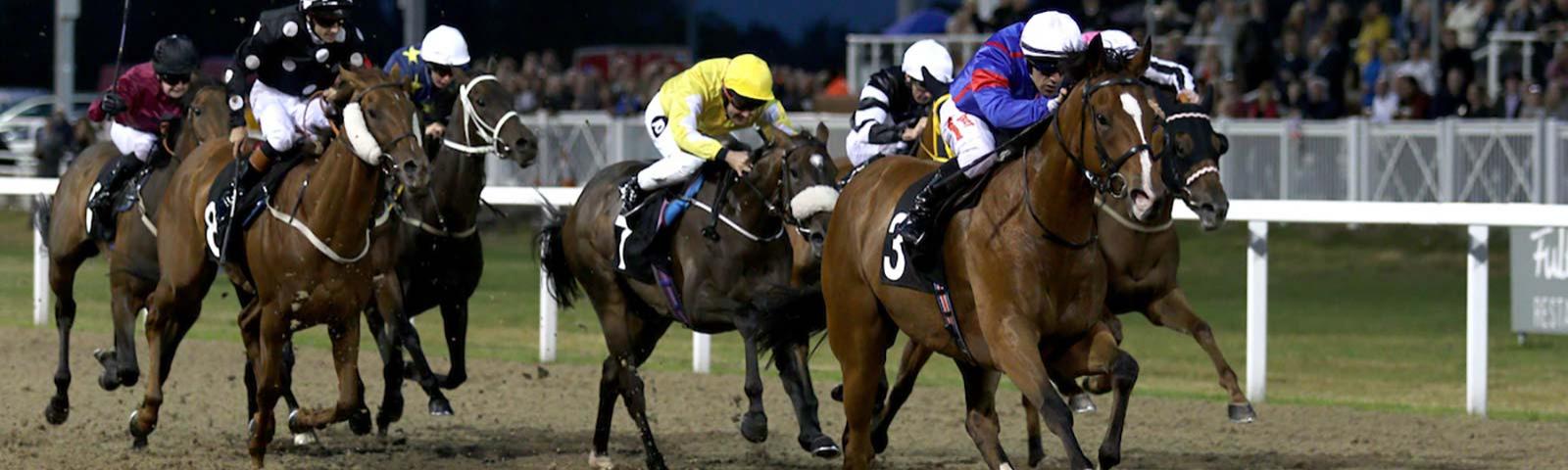 horses racing on all weather track