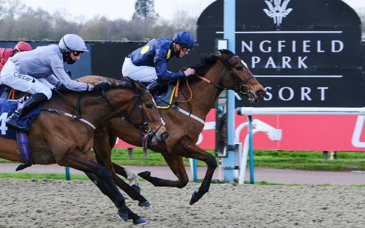 Shimmering Dawn and James Doyle win at Lingfield Park in December 2020