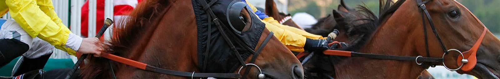 Two horses and jockeys