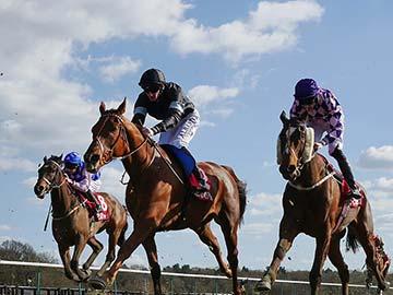 A low angle view of three horses in a race
