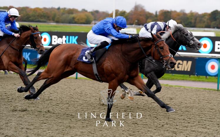 Blue Trail wins the BetUK Churchill Stakes at Lingfield Park