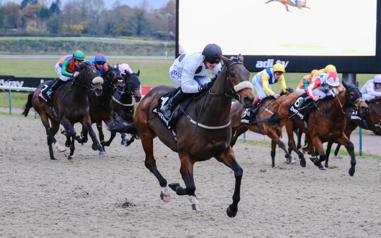 Judicial wins the 2019 Betway Golden Rose Stakes at Lingfield Park.