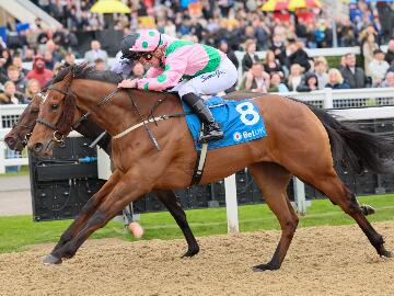 We Never Stop 180425