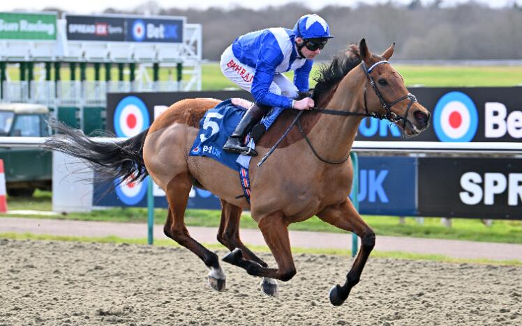 Lord North Winter Derby