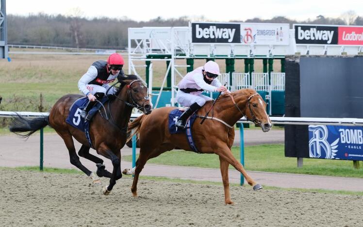 Apollo One wins the Ladbrokes Spring Cup at Lingfield Park Racecourse, 6 March 2021