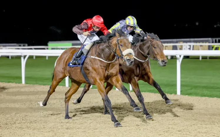 AlligatorAlley271025