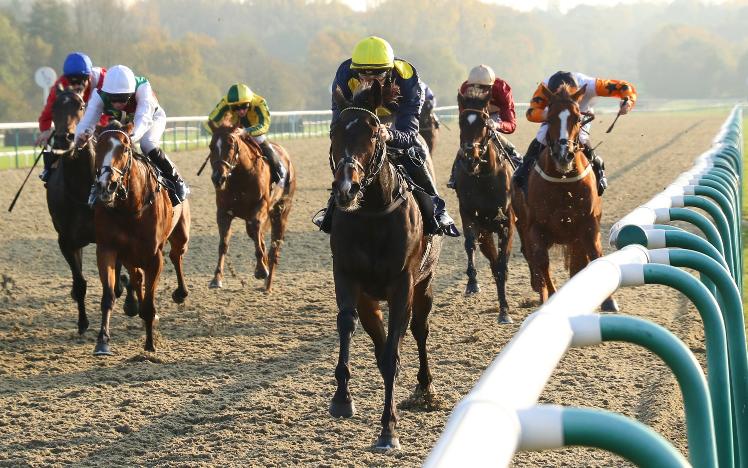 Scentasia Wins at Lingfield Park