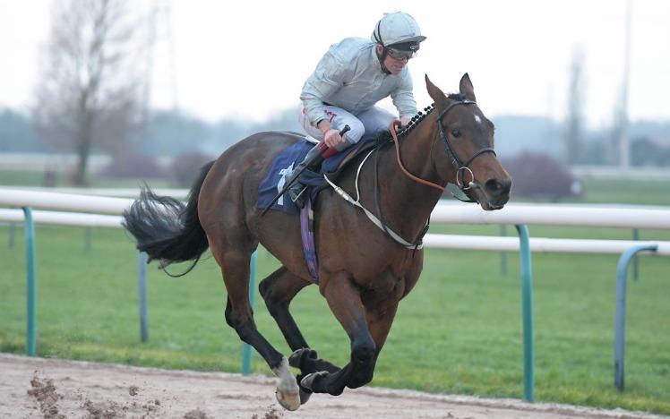 Matterhorn Winning at Southwell Racecourse for the All-Weather Championships