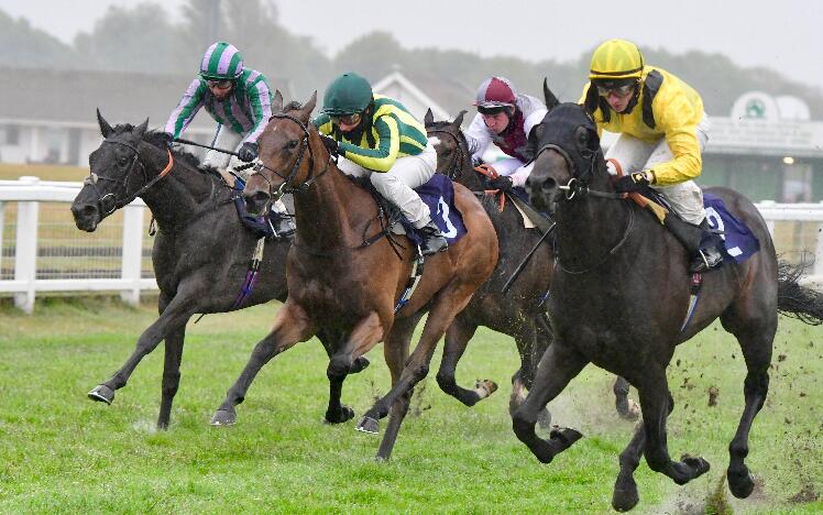 Yazaman winning at Great Yarmouth Racecourse