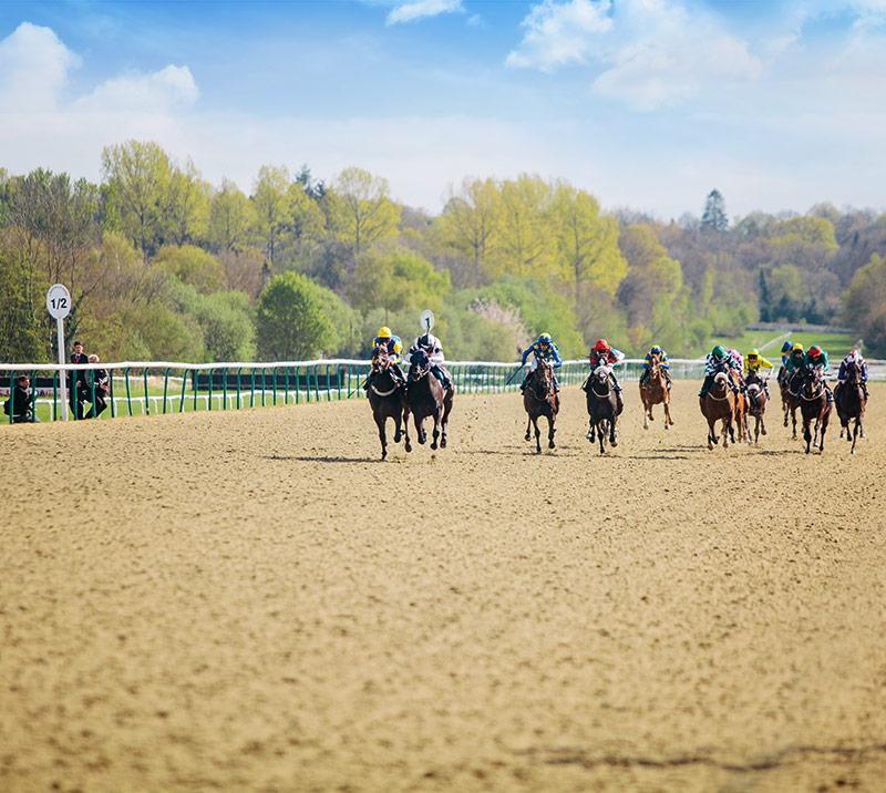 Group of jockeys racing.