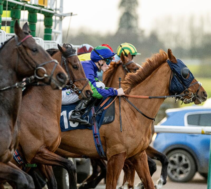 Horses breaking out of the stalls
