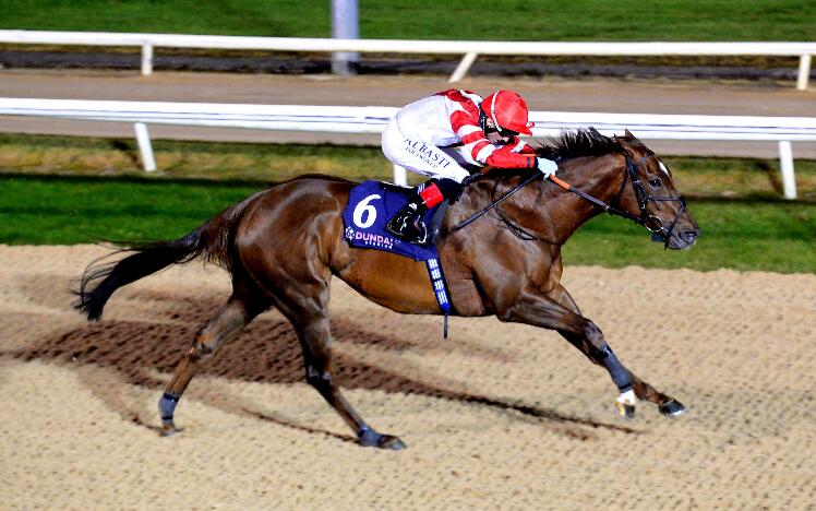 British challenger Ummalnar wins the Irish EBF Cooley Stakes at Dundalk