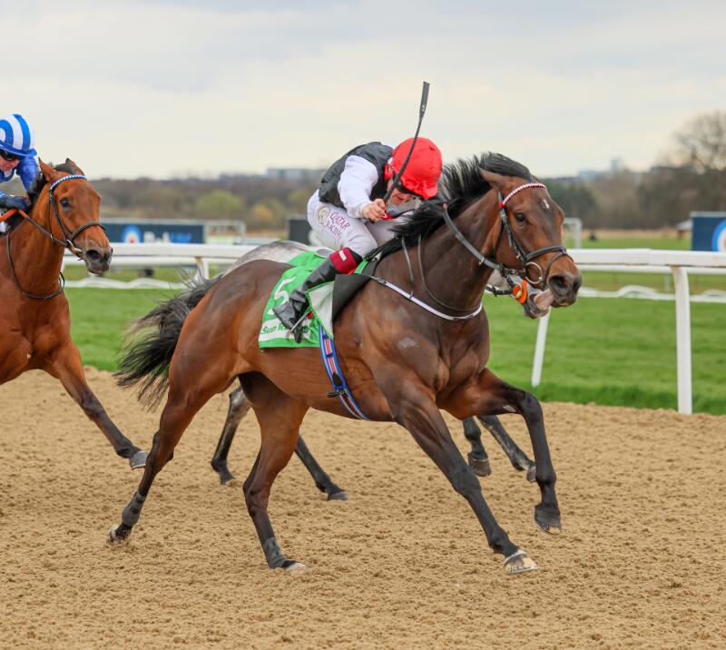 Queen Aminatu Finals Day