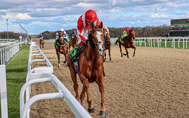 BerkshireSundance030426