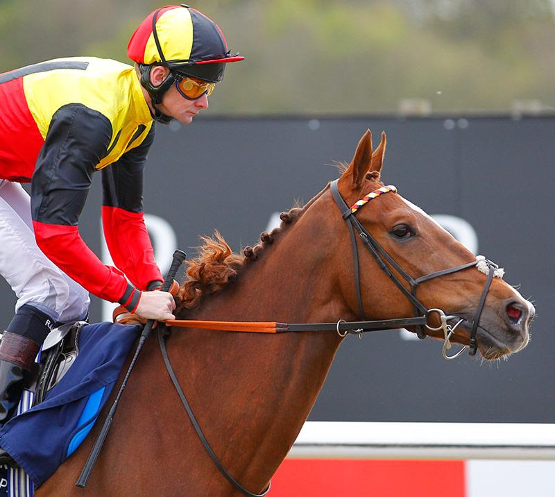 jockey riding a horse