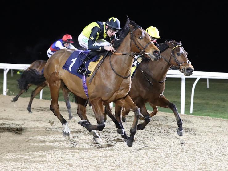 Encore D'or Wins Betway Sprint at Newcastle