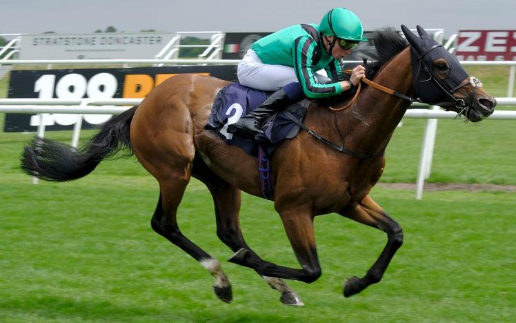 Century Dream at Doncaster Racecourse