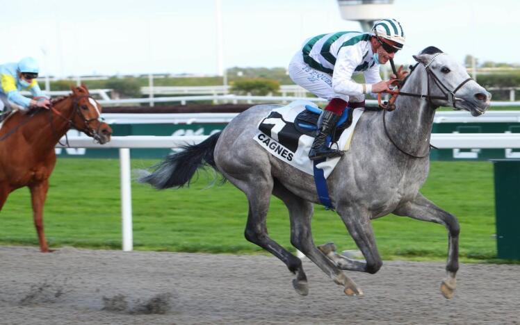 Wally wins the Prix Saonois at Cagnes Sur Mer, 20 Feb 2021