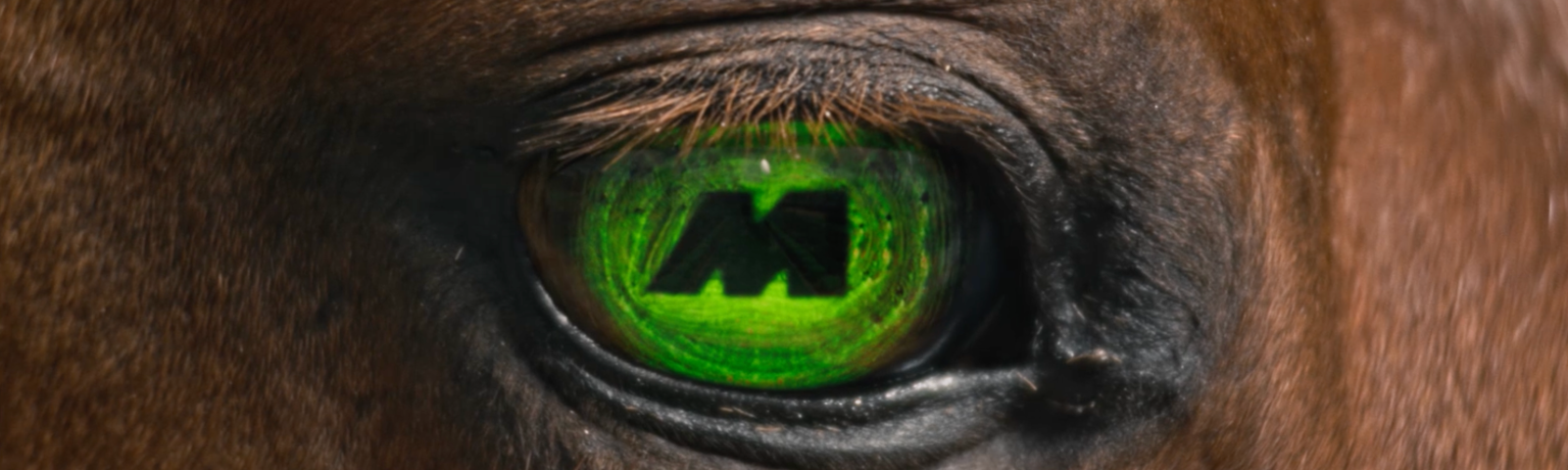 Midnite logo in horse's eye