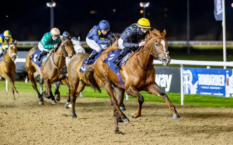 Promising filly Amniarix (Ed Walker/Richard Kingscote) wins at Wolverhampton