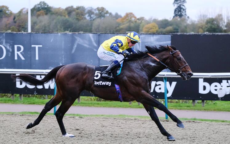 Good Effort wins the Betway Golden Rose Stakes 