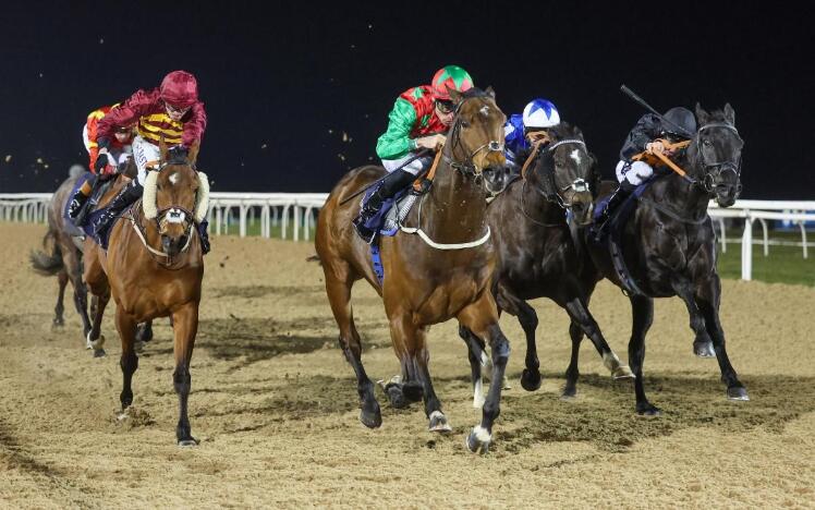 Diligent Harry winning at Newcastle in February (credit: Grossick Photography)