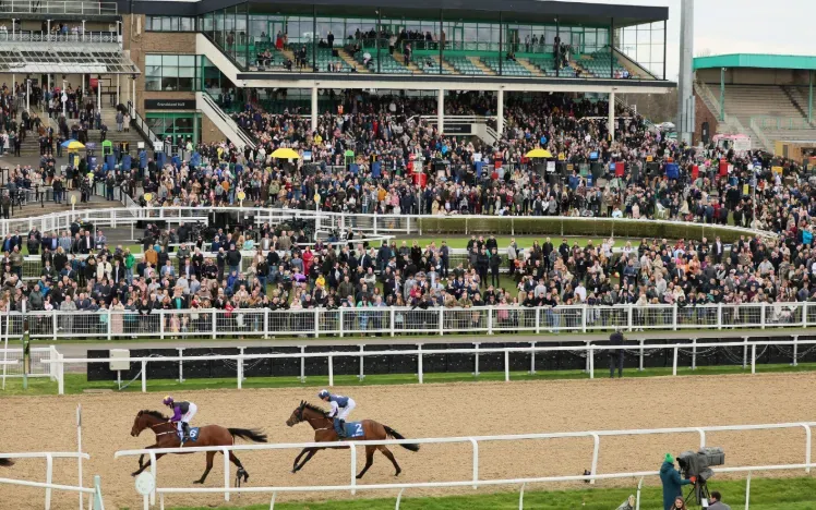 AWFinalsDay2023 generic