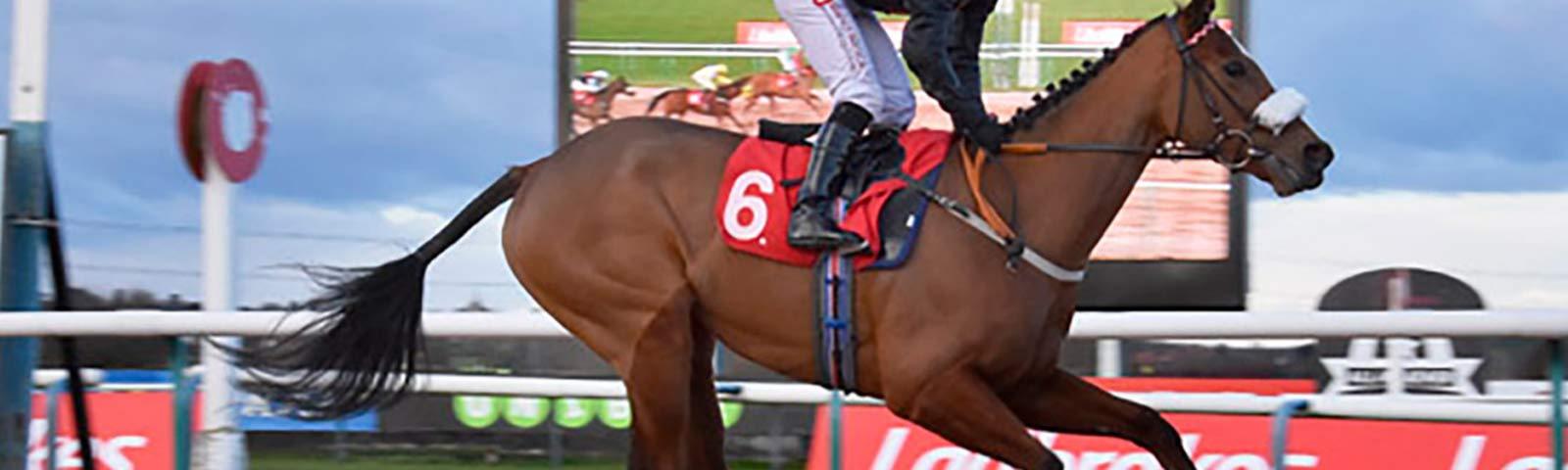 Jockey racing past finishing post.